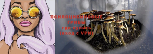 прущая мука Армянск