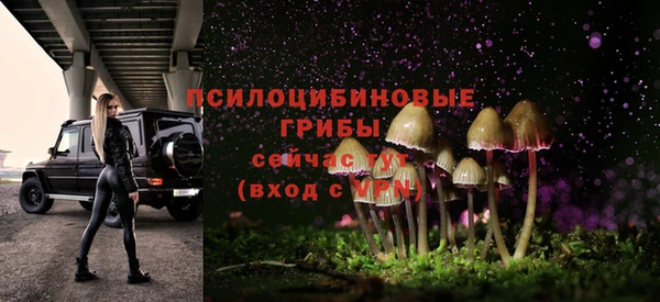 таблы Арсеньев