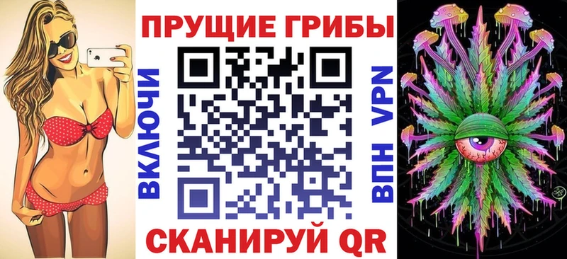 Галлюциногенные грибы Psilocybine cubensis  закладки  Рудня 